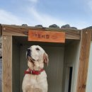 미로펜션민박 이미지