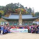 월정사문화원 티스토리