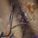 하이본모텔 이미지