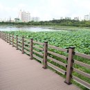 수원-1568 이미지