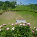 진들농장 이미지