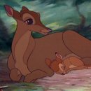 Captain marvel 이미지