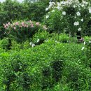 영적인 종합 진찰, 1년 임금, 찬송 10계명 이미지