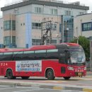 고령차유리 이미지