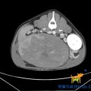 Dr. dog 동물영상의료센터 이미지