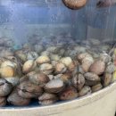 무조건회수산 이미지