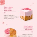 브레드큐브