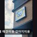 꽃개애견미용 이미지