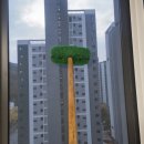 용계초등 | 대구 청소대행 세대 내 하자 확인까지 진행해 주는 업체 소개