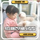 약지애견카페 서창점 | 아이랑 가볼만한 곳 약지애견카페 서창점 방문후기