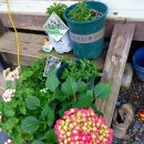 태호네농장 이미지