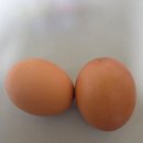 신이난닭 이미지