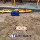 회천초등학교 이미지