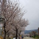 사나사(사찰 앞) 이미지