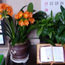 동행의료기 이미지