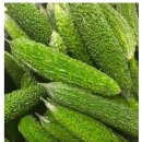 여주-0103 이미지