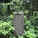 숲커피숍 이미지