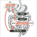 휴대폰 전자파 어린이 주의렵결핍장애유발↑ ADHD는 왜 생기는 걸까요 이미지