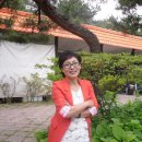 화려한외출투 이미지