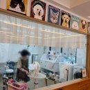 알라꿀 펫살롱 | 스트레스 적은 전주 애견미용 후기 순심이네펫살롱