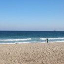 오시기식당 이미지