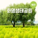 화명생태공원(화명운동장 내) | 부산 가을 나들이 힐링데이트 화명생태공원 댑싸리 위치 주차