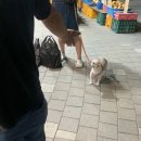 점보세차장 | 22_SEP 1