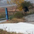 강촌강변오토캠핑장 이미지