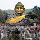 와우정사 이미지