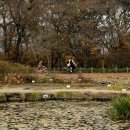 하림공원(이벤트광장) 이미지