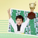 고려대한태권도 이미지