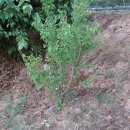 웅포농장 이미지