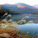 천지냉면 이미지