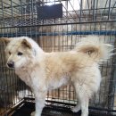 통영미래메디칼빌딩 이미지