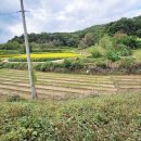 낙동제방 자전거도로 이미지