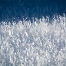 The Silence 이미지