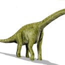 브라키오사우루스 | 브라키오사우루스(Brachiosaurus)