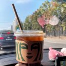 (주)가스코 유정에너지 | 피트라인 리스토레이트 효능 꼭 확인하세요 ! (다이어트 후기)