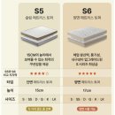 엘리비아