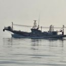 완도 밤야식 이미지