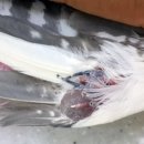 굿닥터동물병원 이미지