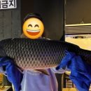 놀이터실내낚시카페 네이버블로그