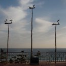 동해(동해)휴게소 이미지