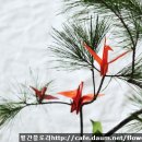 동양꽃꽂이 이미지