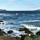 1004-11카페 이미지