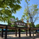 재미난밭 | 27개월 아기랑 성공한 나들이 🍀 안성팜랜드 호밀밭 후기(feat.할인꿀팁)