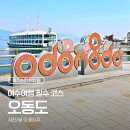 동백차이 | [여수/순천] 여수가볼만한곳! 오동도 들어가는법 동백열차 탑승 후기(ft.시간표,요금)