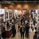 11650-7-42-6 | 와인 좋아하는 대전 여행자라면, 대전국제와인 EXPO 사전예매 42% 할인 직접 알아본 후기