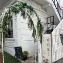 온천천카페거리(느티나무유치원 앞) | [ 부산 맛집 / 대형견 동반 가능 ] 부산 온천천 맛집 _ 파티오키친 내돈내산 솔직후기