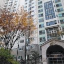 남동건설 | 남동구 싱크대누수 알고 보니 홈통 배수통 노후로인한 물샘 빠른 교체 ( 금호어울림아파트)